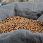 Apung atau Tenggelam? Mana Pakan yang Bikin Ikan Cepat Gede