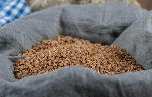 Apung atau Tenggelam? Mana Pakan yang Bikin Ikan Cepat Gede